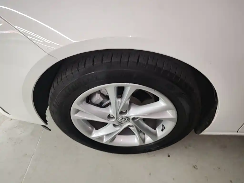 Buick Regal — миниатюра 23
