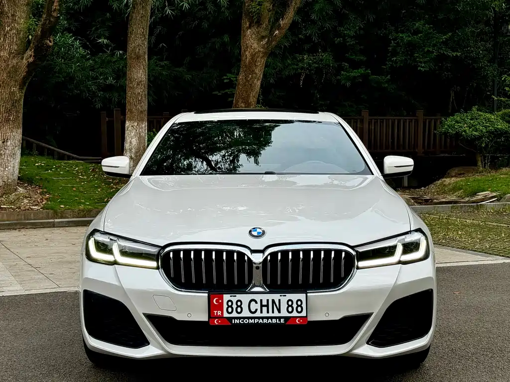 BMW 5 Series — миниатюра 2