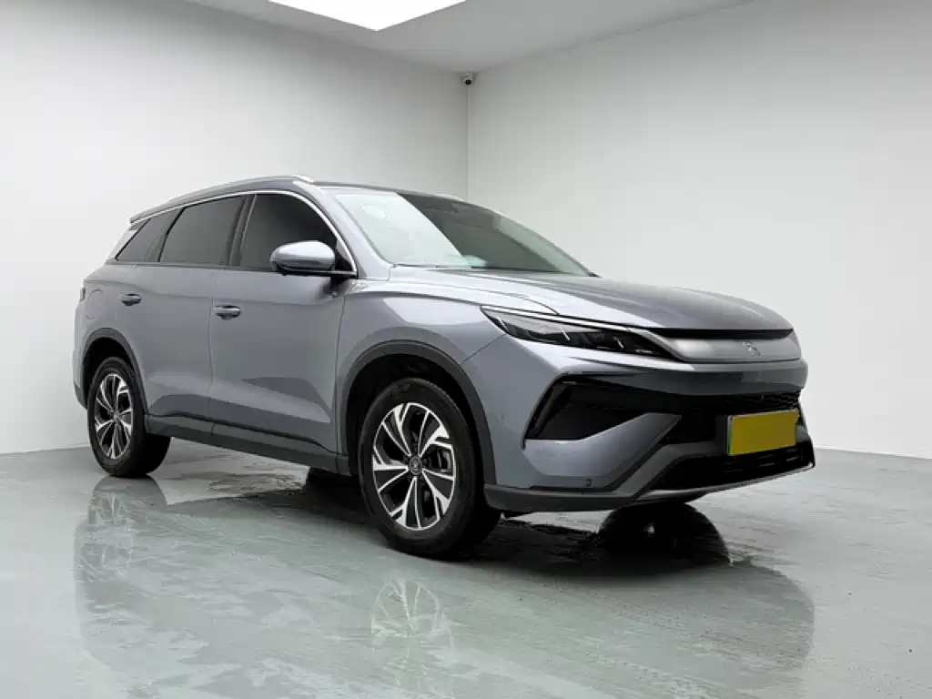 BYD Pro New Energy — миниатюра 3