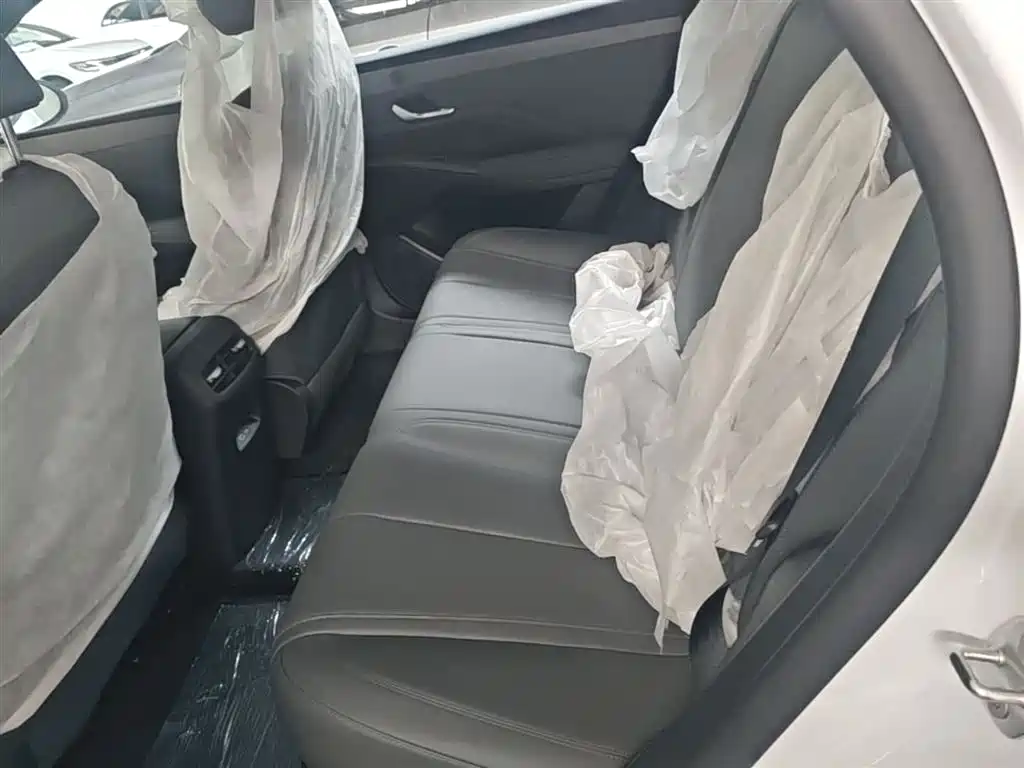 BYD Qin Plus — фотографии объявления, Фото 17