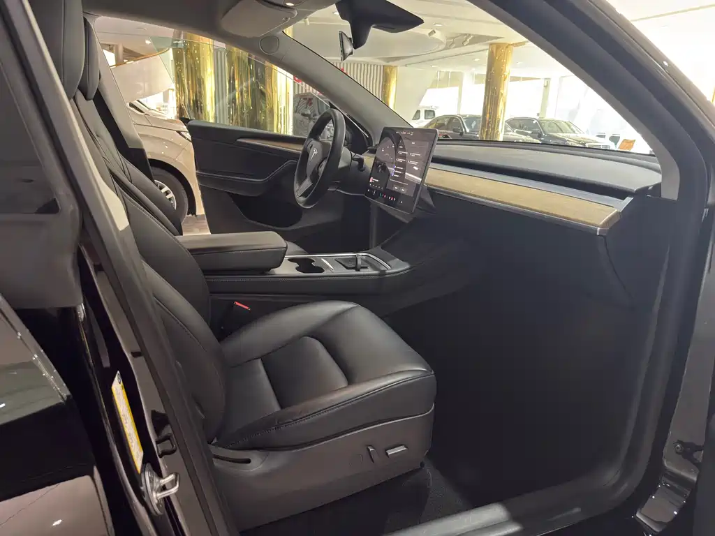 Tesla Model Y — миниатюра 8