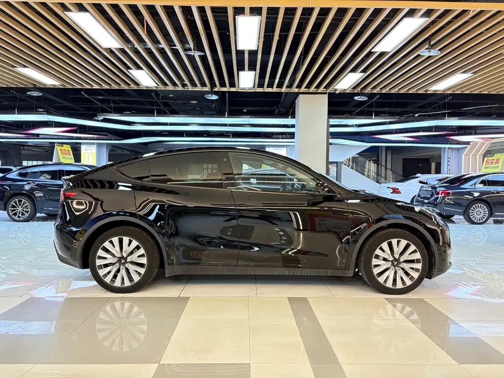 Tesla Model Y — миниатюра 6