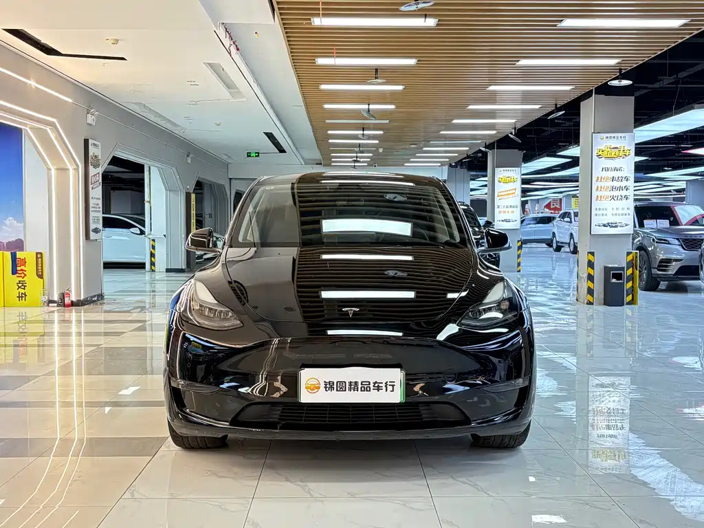 Tesla Model Y — миниатюра 8