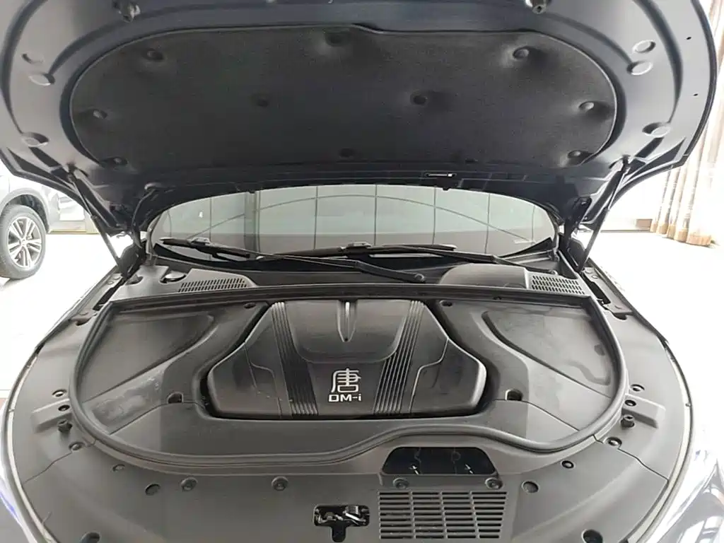 BYD Tang New Energy — миниатюра 20