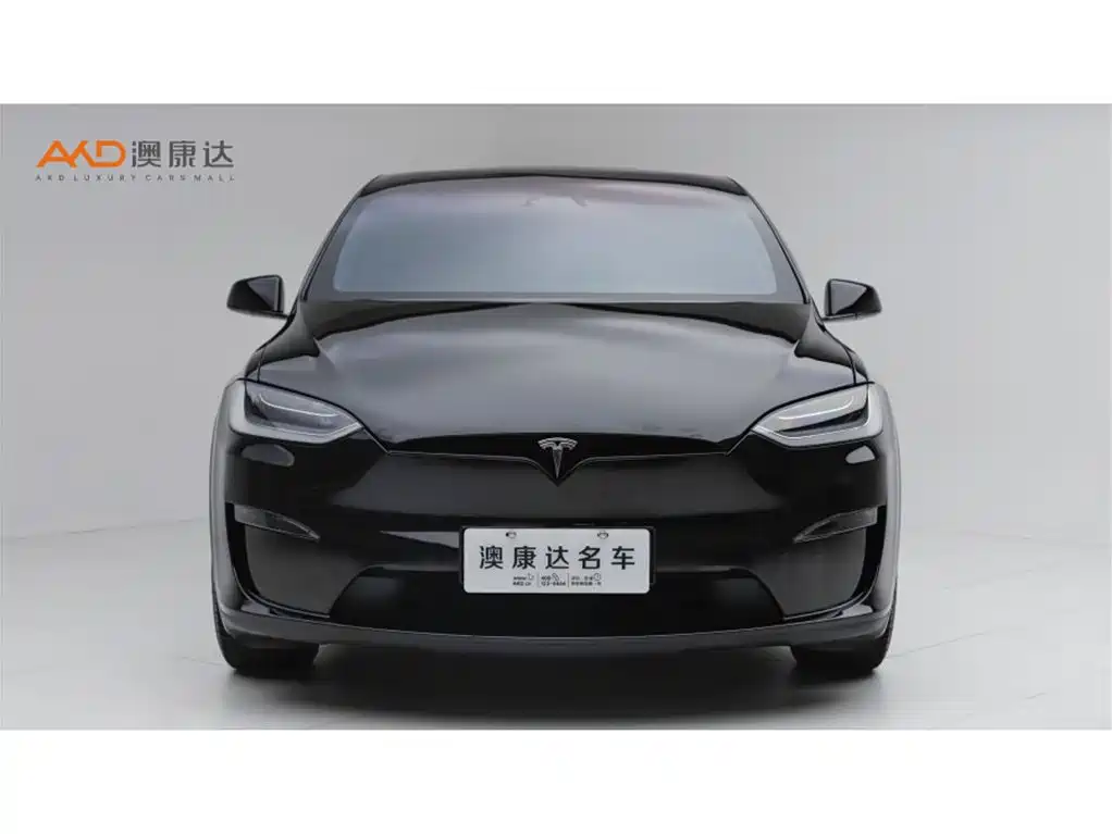 Tesla Model X — миниатюра 2
