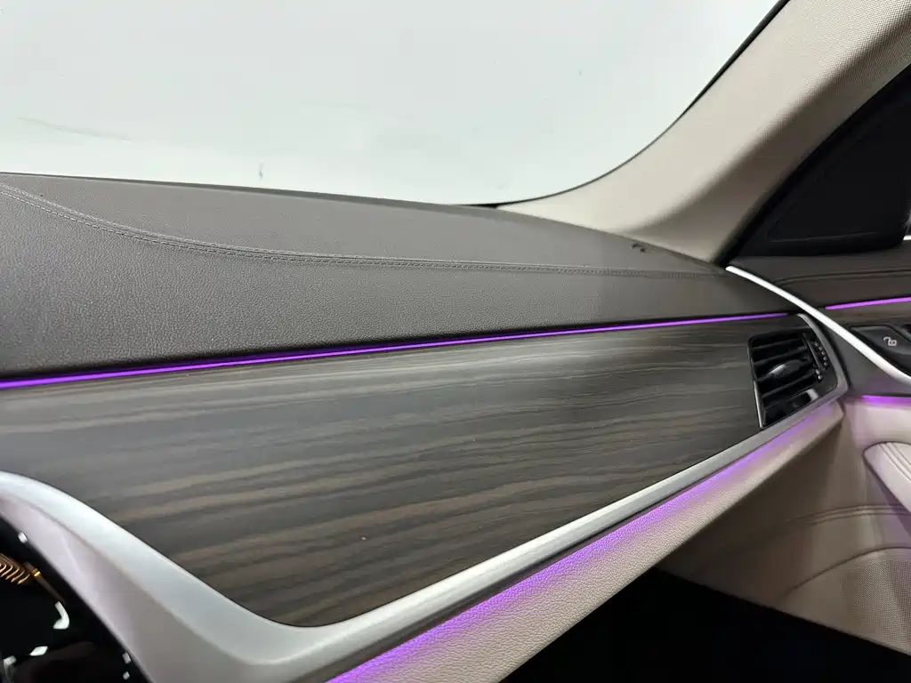 BMW 5 SERIES NEW ENERGY