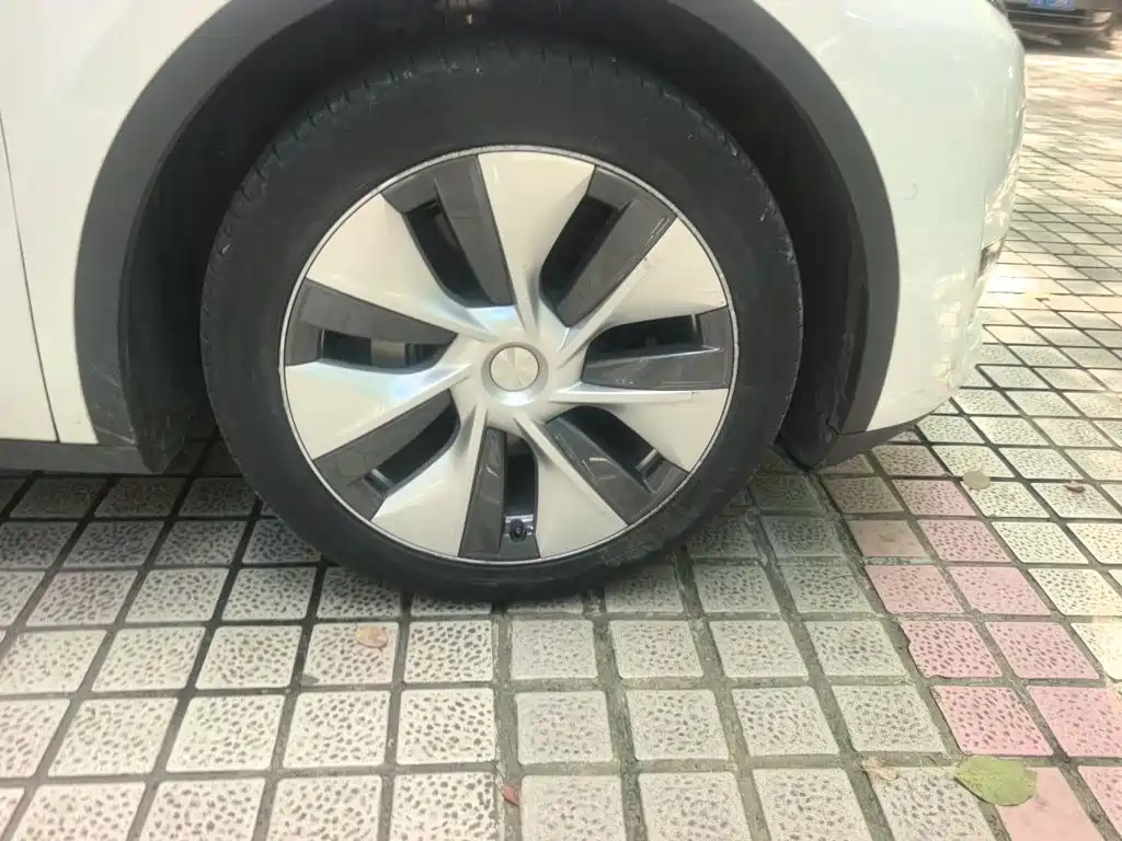 Tesla Model Y — миниатюра 24