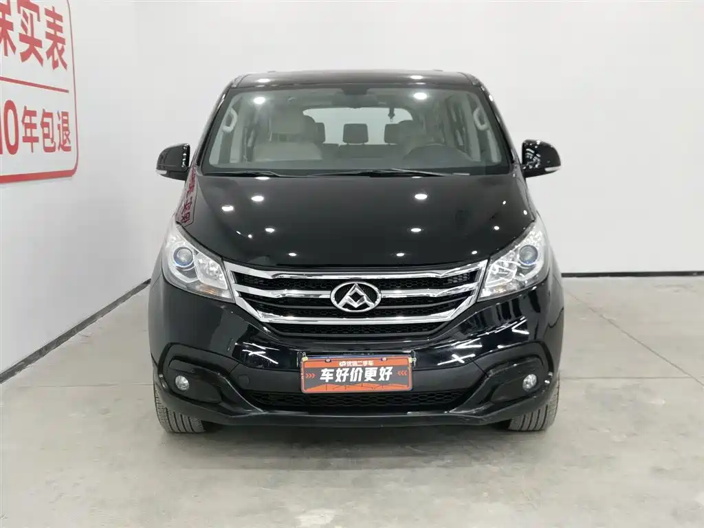 SAIC MAXUS CHASE G10