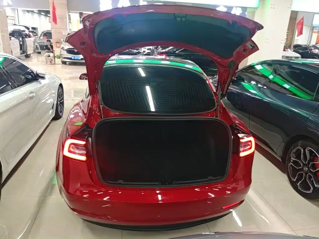 Tesla Model 3 — миниатюра 19