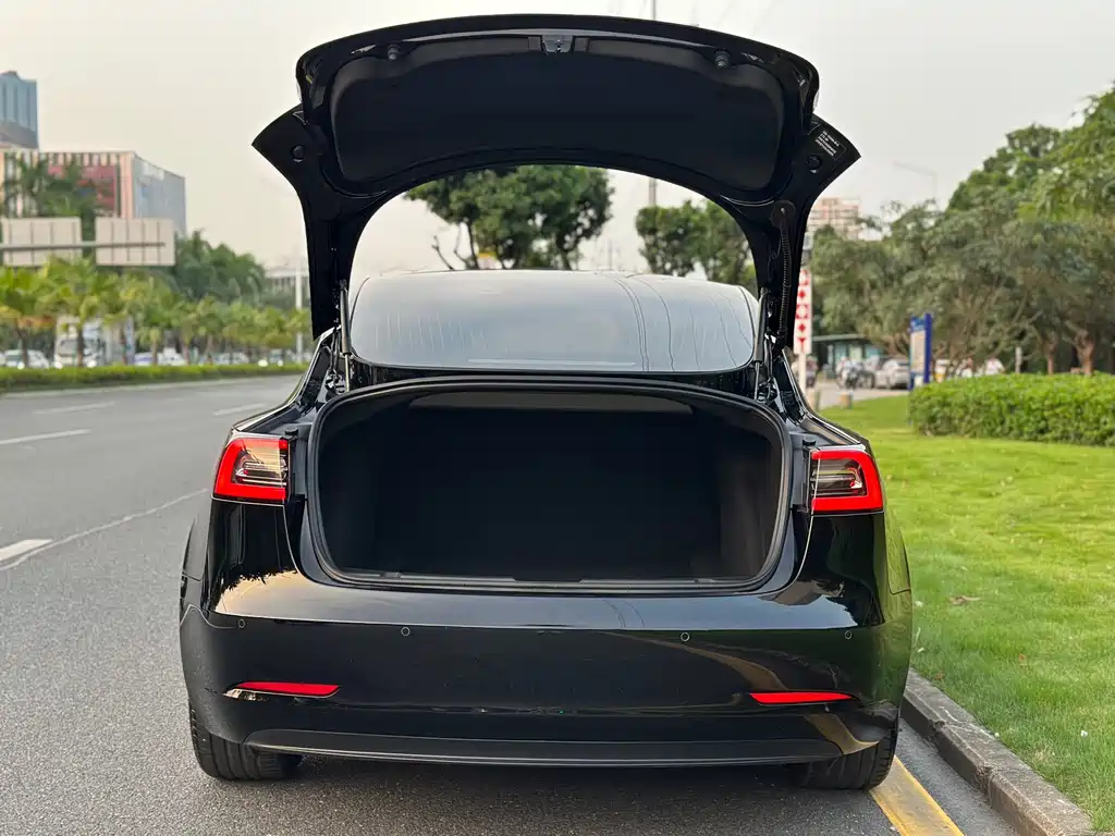 Tesla Model 3 — миниатюра 8