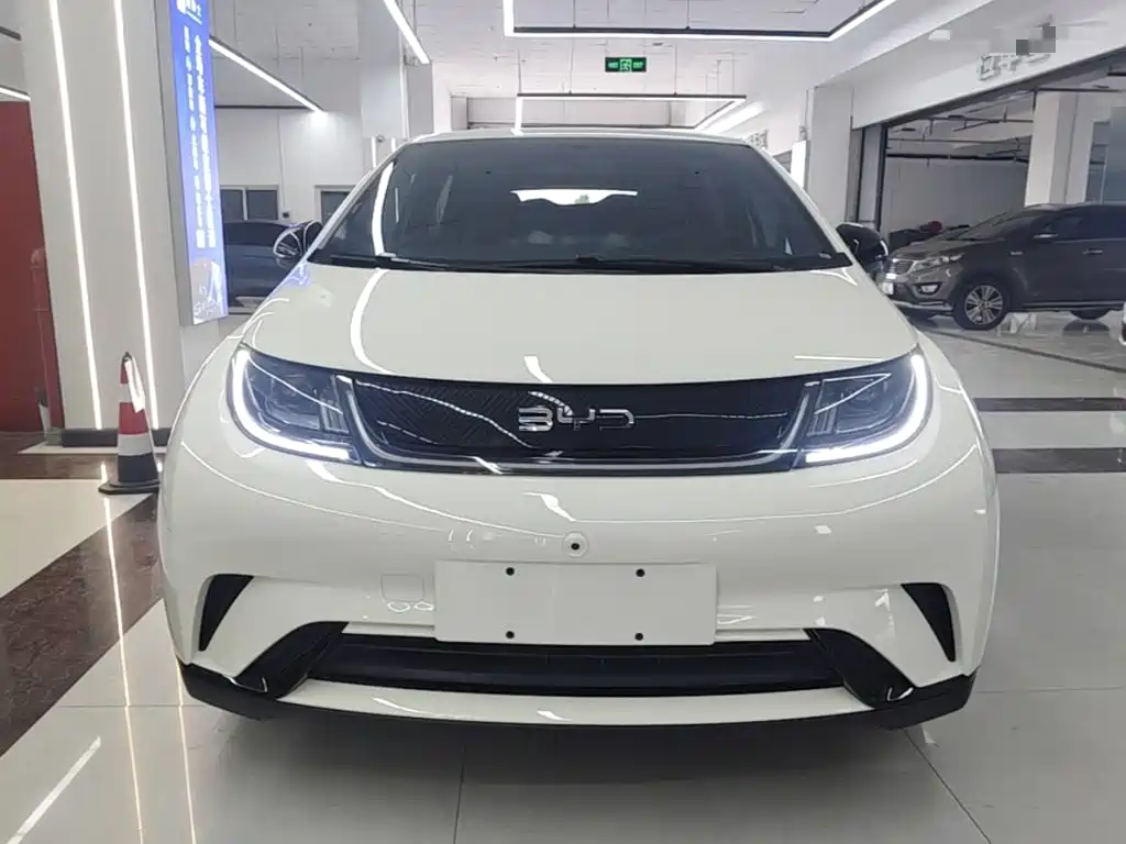 BYD Dolphin — миниатюра 3