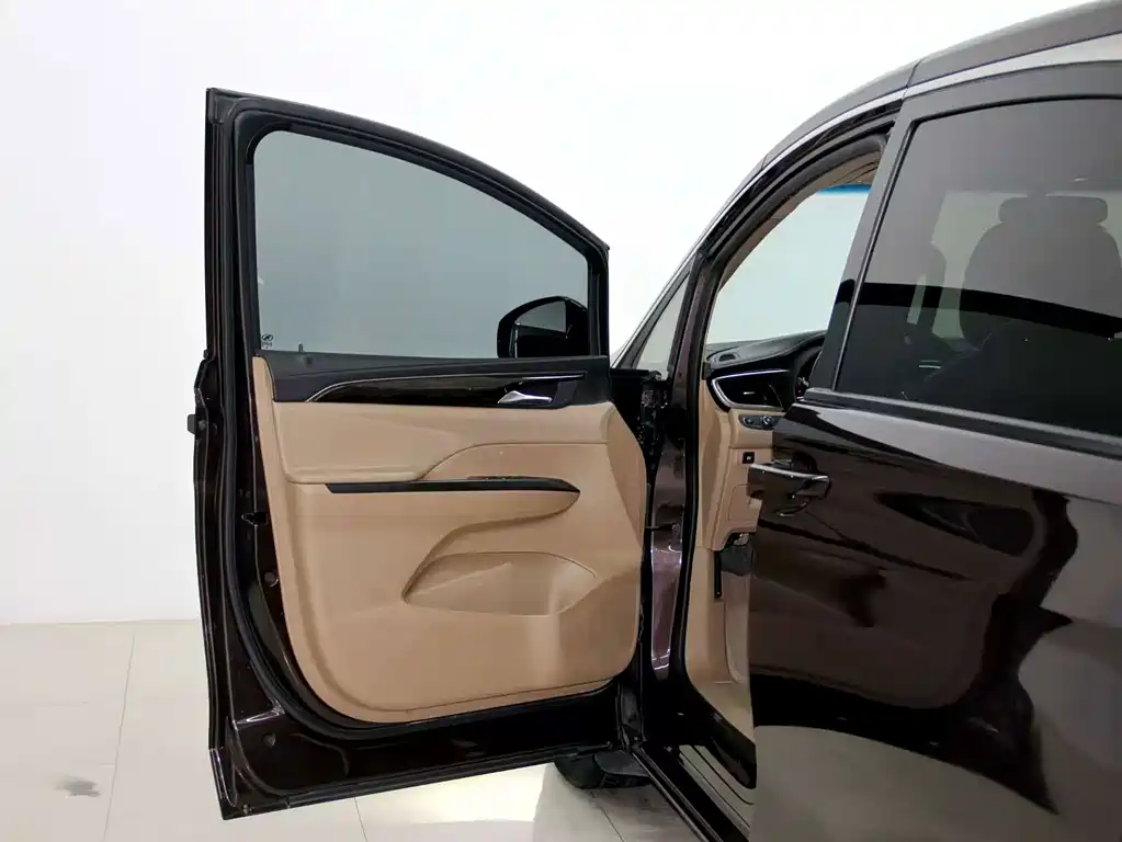 Buick GL8 — миниатюра 18