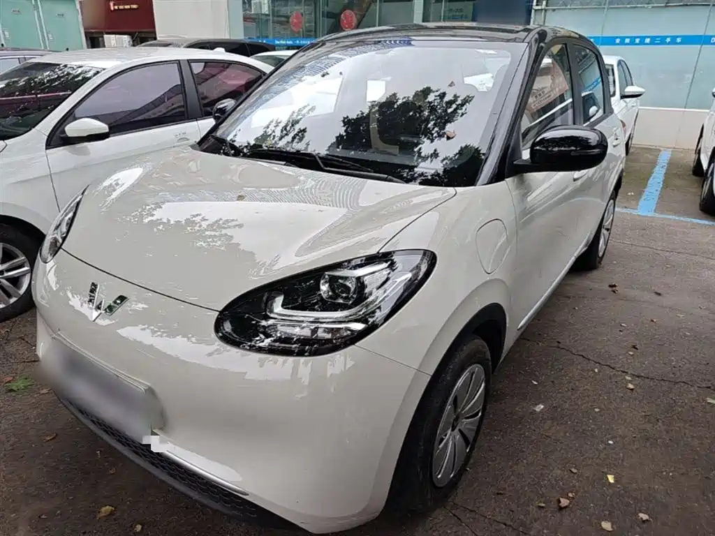 Wuling Bingo 2024