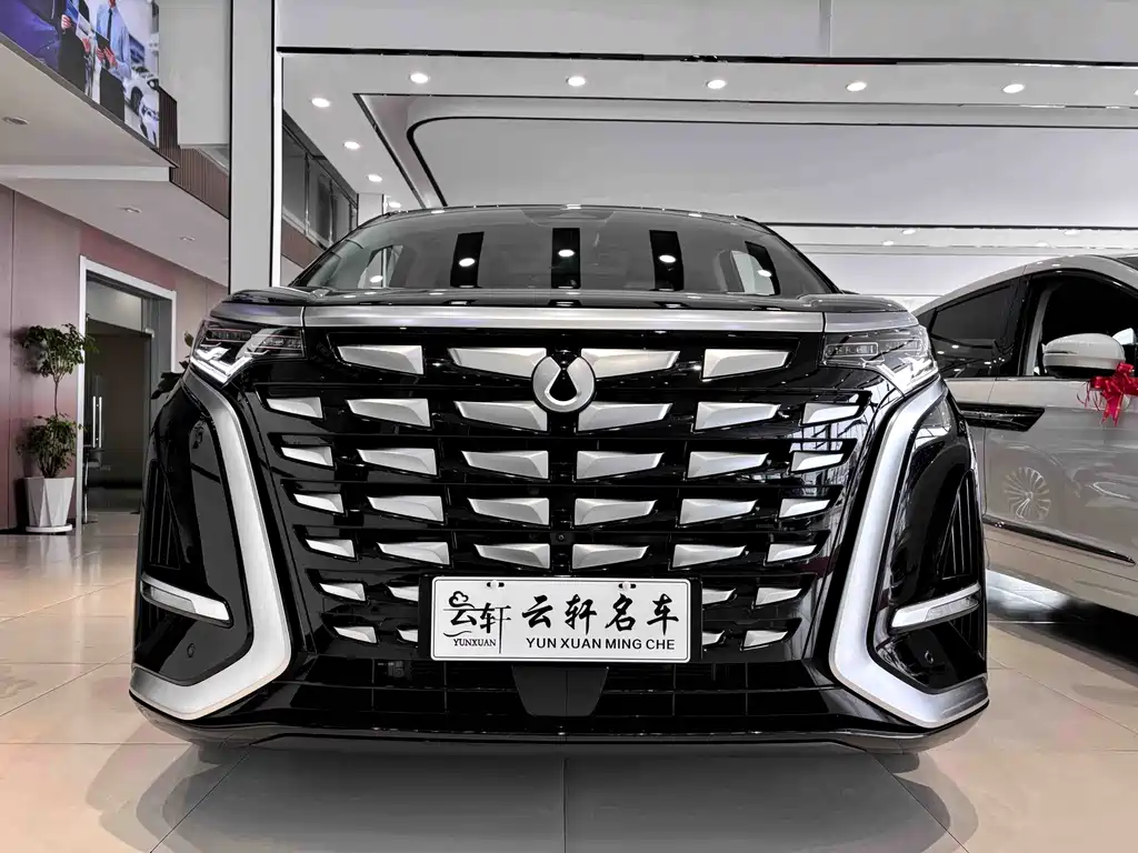 Denza Denza D9 — миниатюра 2
