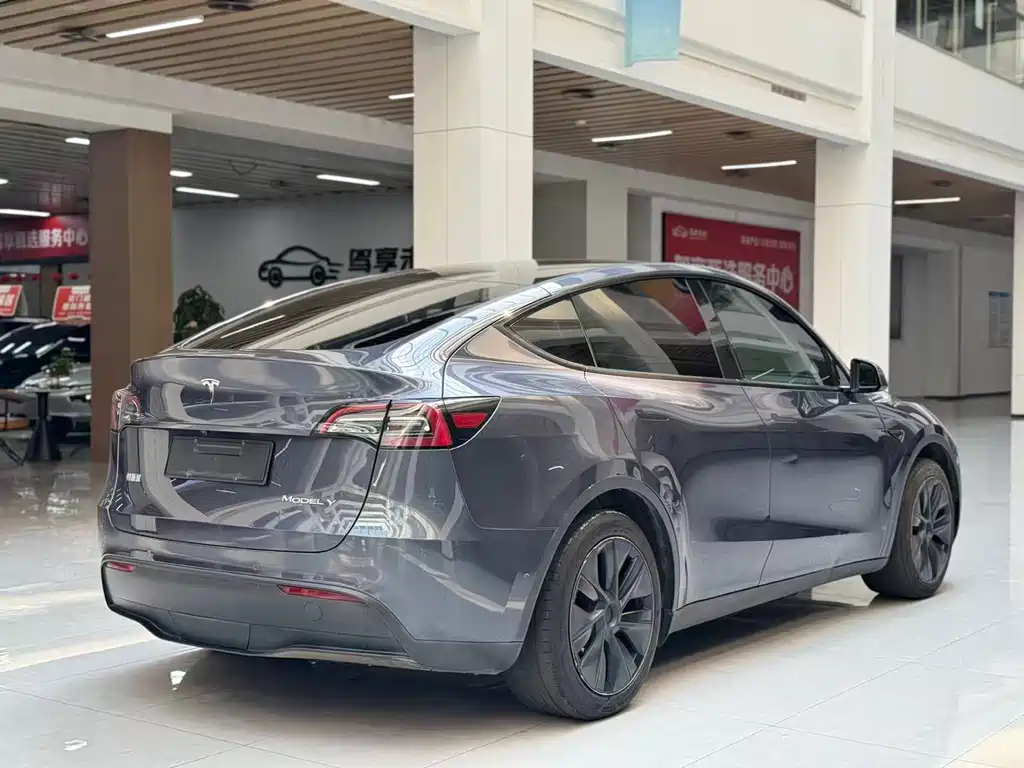 Tesla Model Y — миниатюра 5