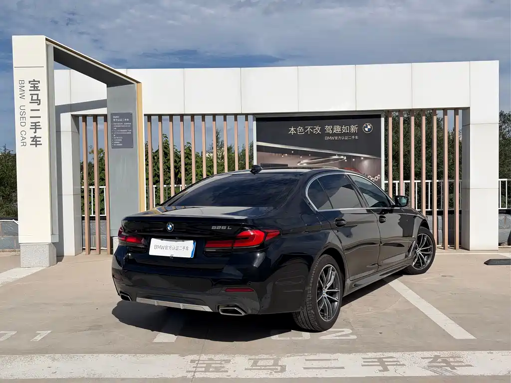 BMW 5 Series — миниатюра 4