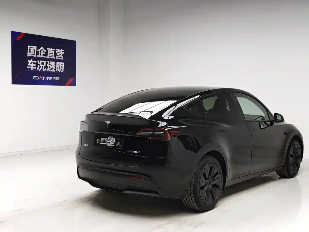 Tesla Model Y — миниатюра 4