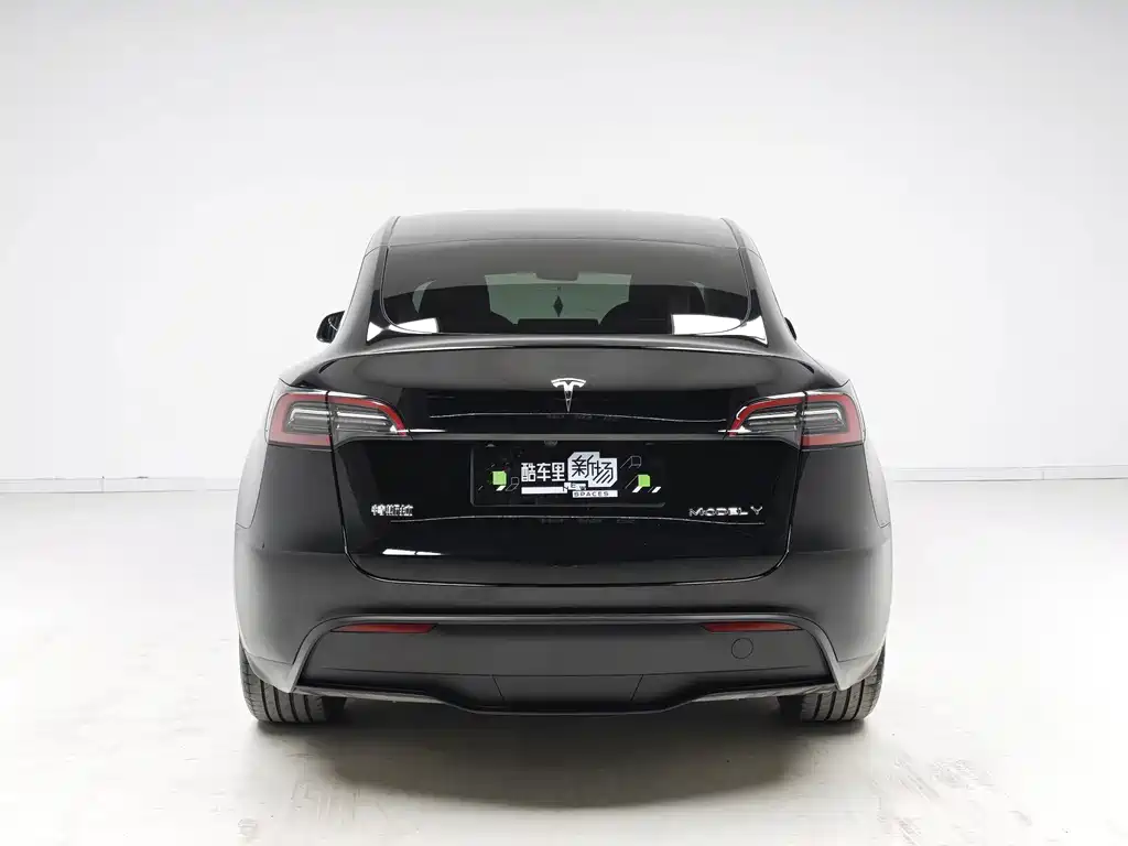 Tesla Model Y — миниатюра 5