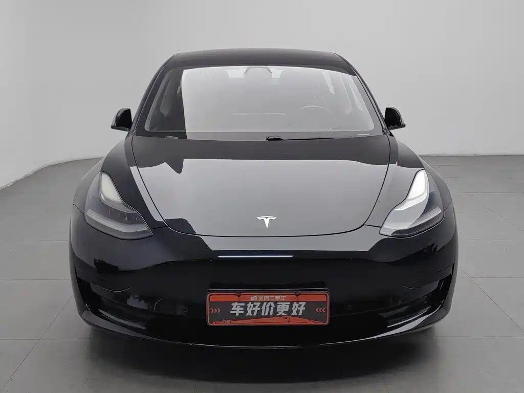 Tesla Model 3 — миниатюра 3