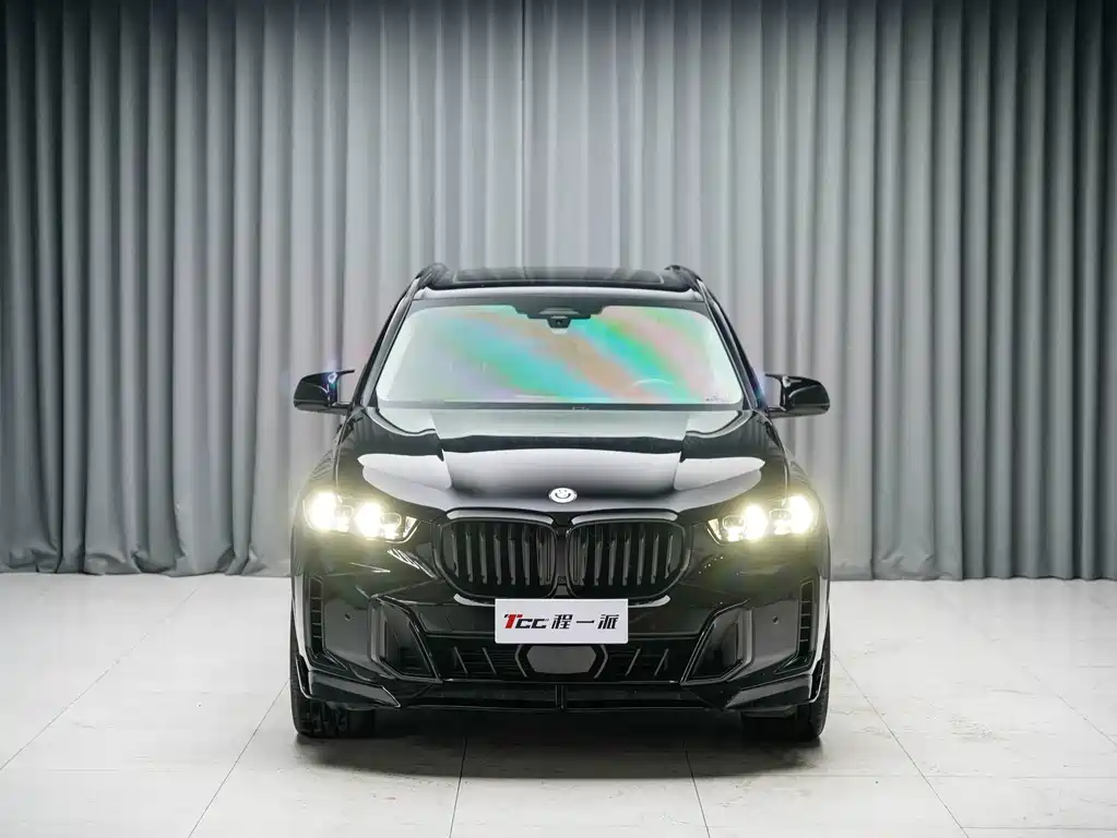 BMW X5 — миниатюра 2