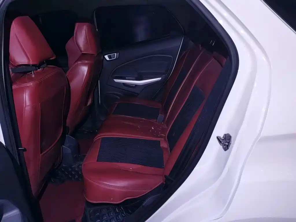 Ford Ecosport — миниатюра 18