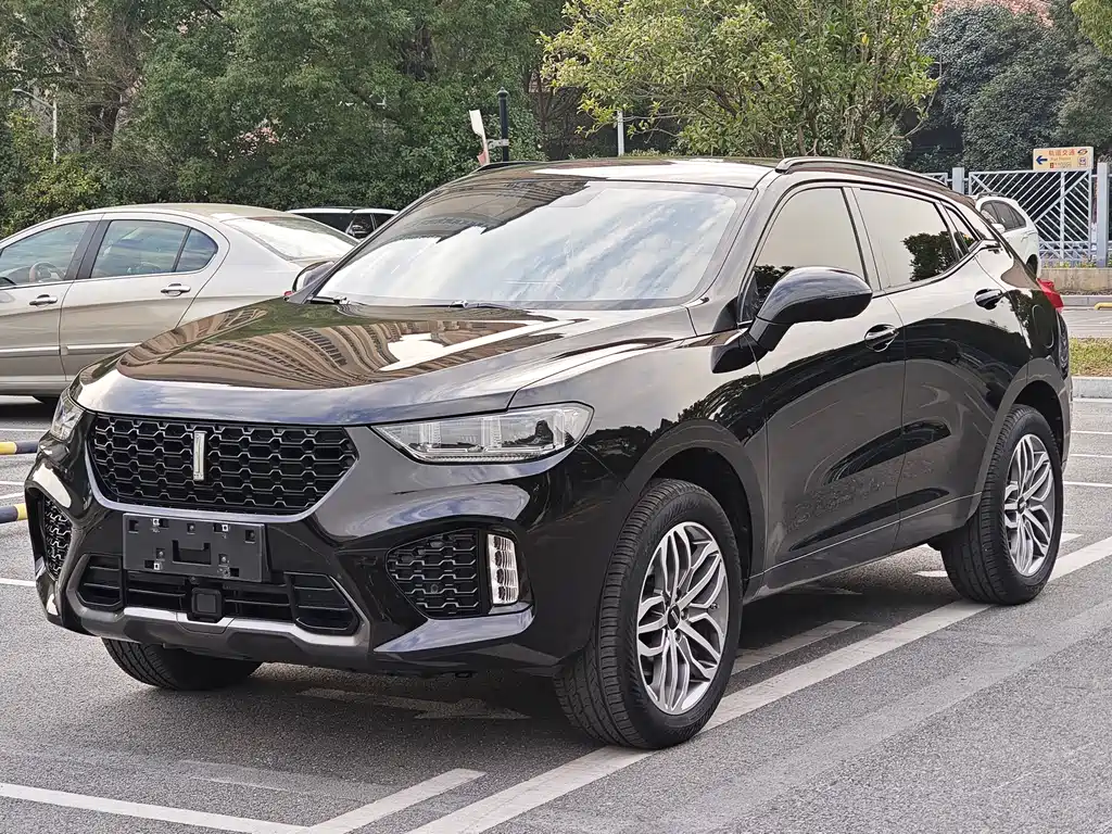 WEI PAI WEI BRAND VV5