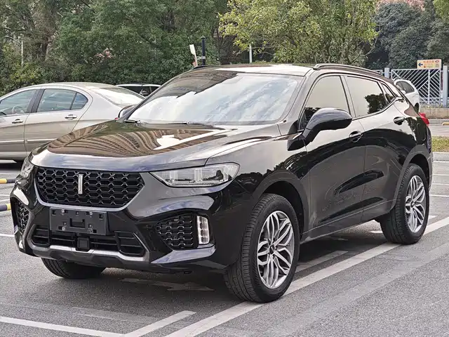 WEI PAI WEI BRAND VV5 2018