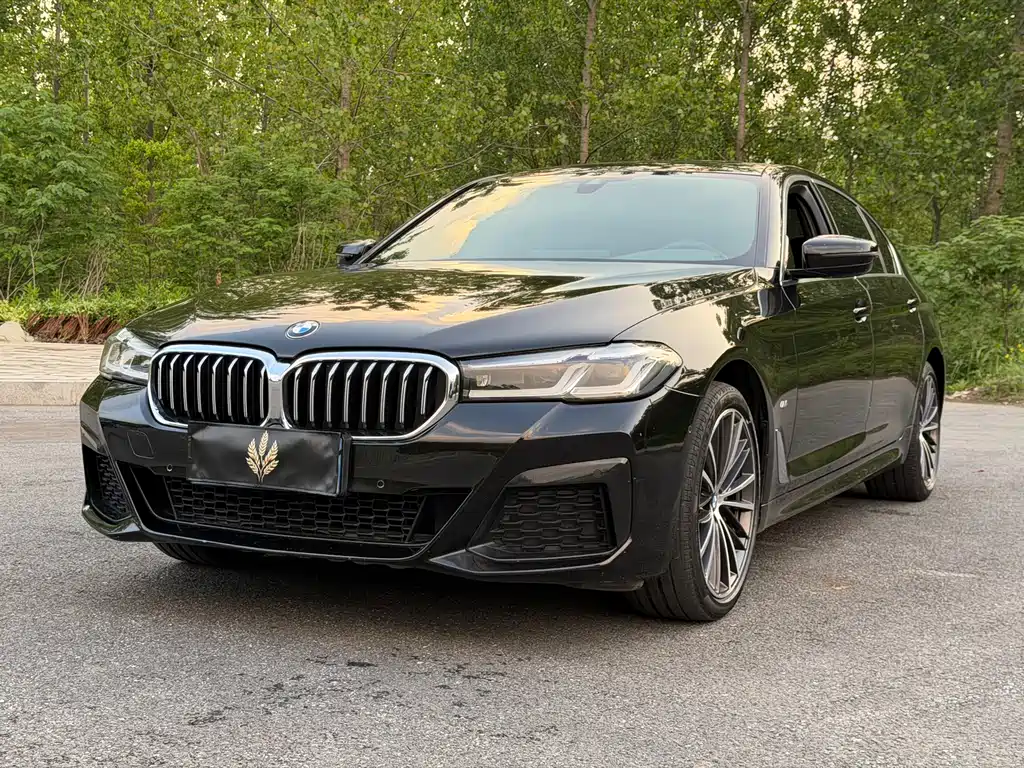 BMW 5 Series 2021