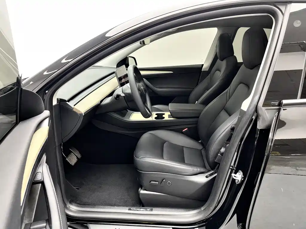 Tesla Model Y — миниатюра 9