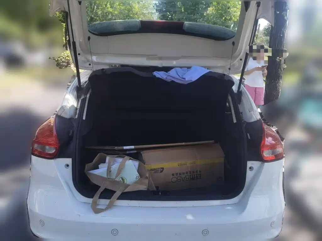 Ford Focus — миниатюра 15