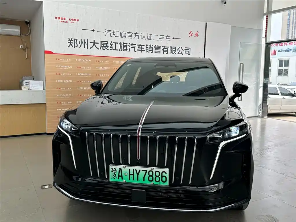 Hongqi Hongqi HS6 PHEV — миниатюра 2