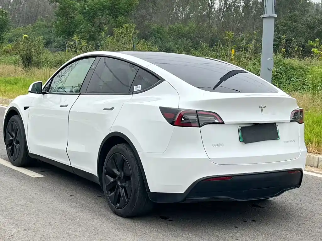 Tesla Model Y — миниатюра 9