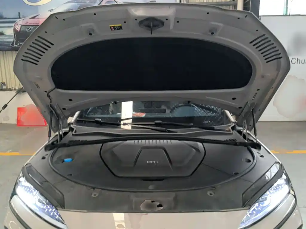BYD PLUS New Energy — миниатюра 20