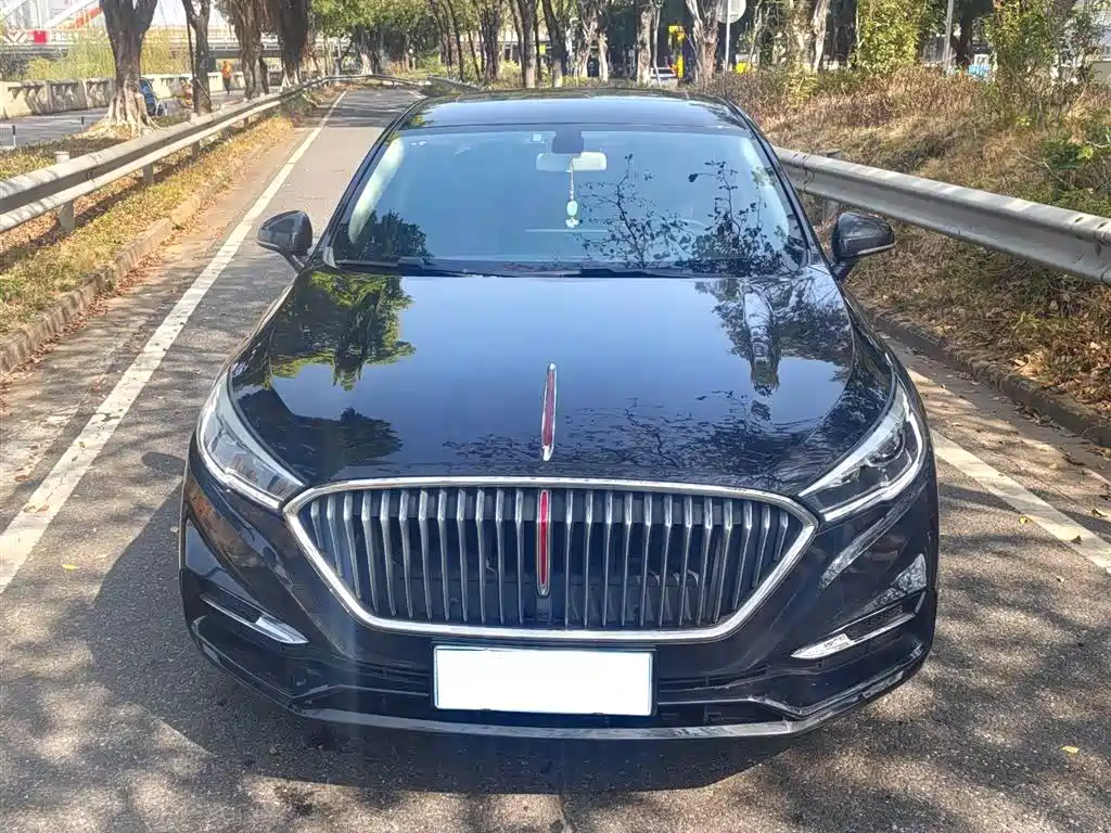 Hongqi Hongqi H5 — миниатюра 2