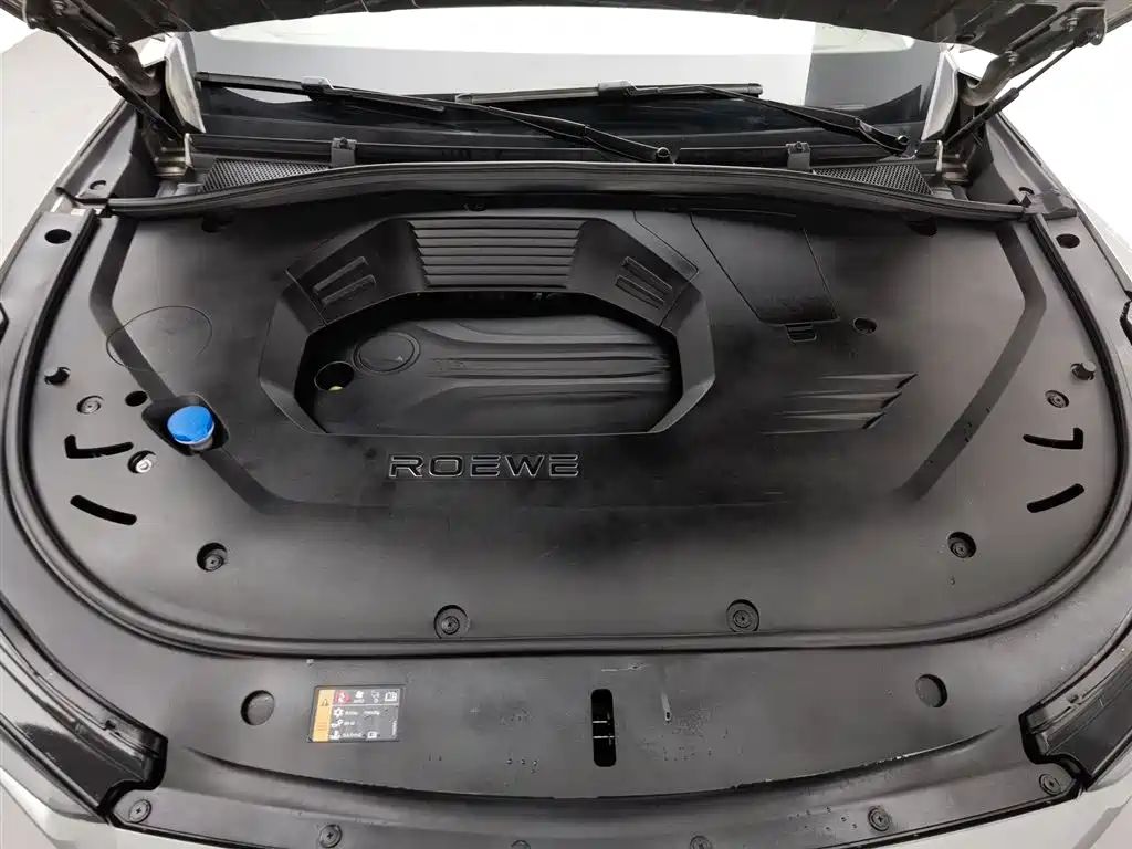 Roewe RX9 2023 2.0T