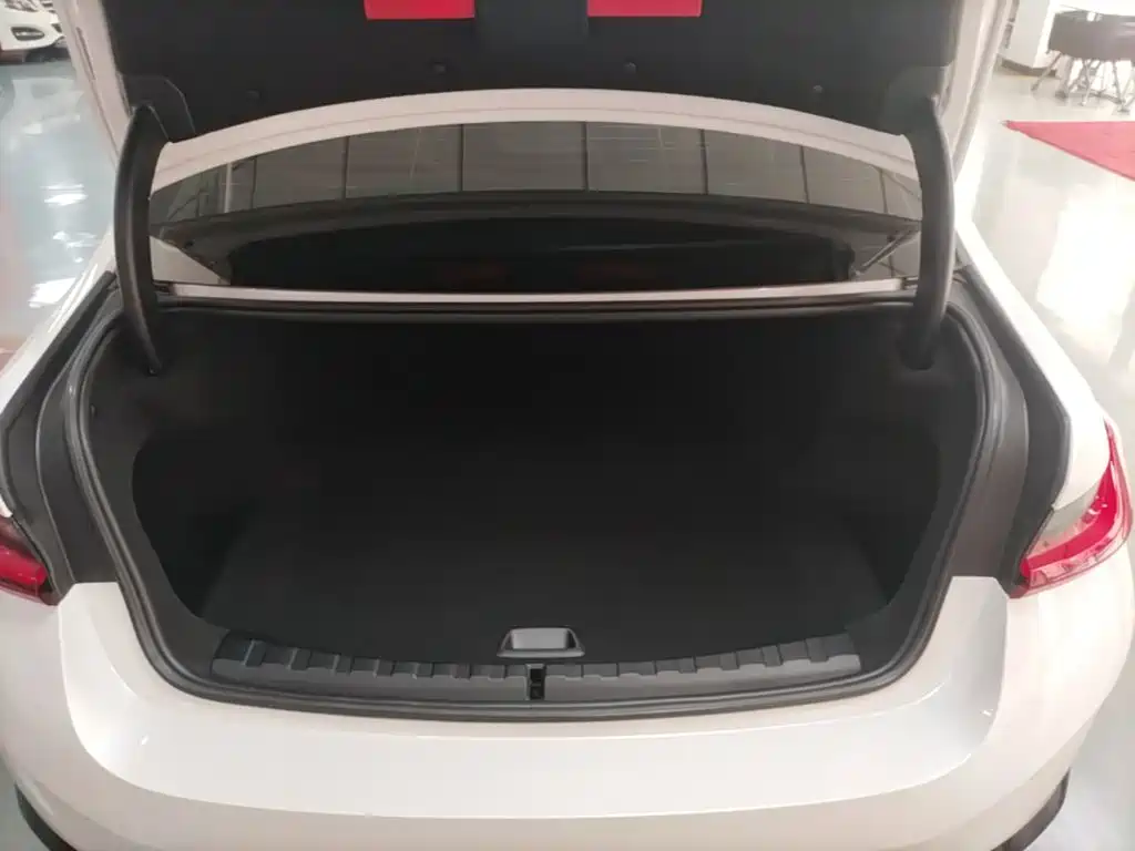 BMW i3 — миниатюра 19