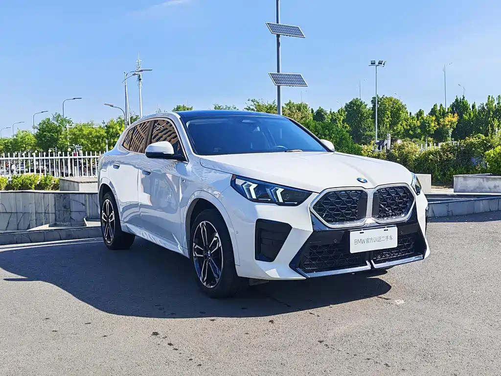 BMW X2 (Import) — миниатюра 3