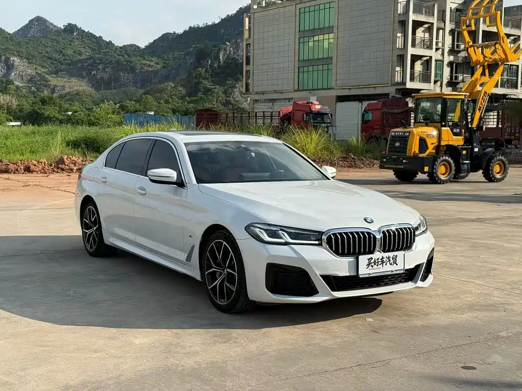 BMW 5 Series 5 2021 530Li Premium M Sport