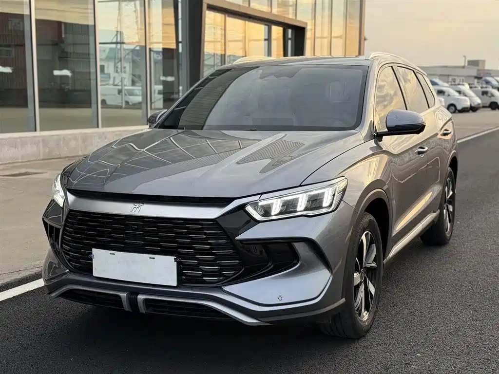BYD Pro New Energy 2024
