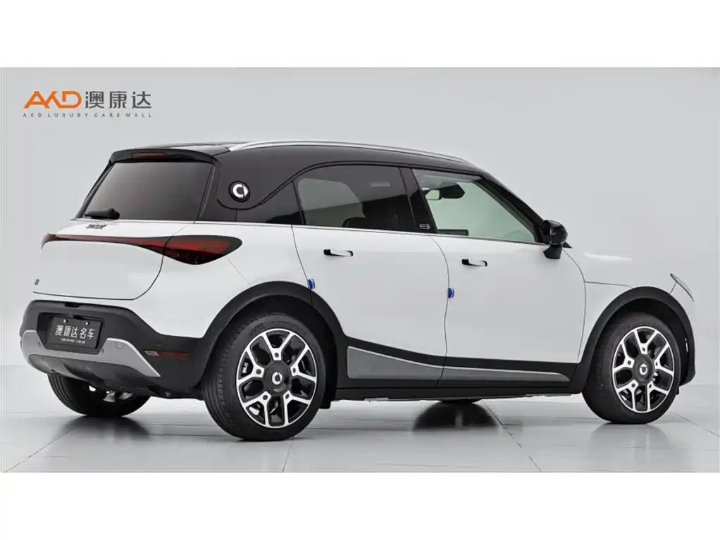 smart Smart #1 — миниатюра 3