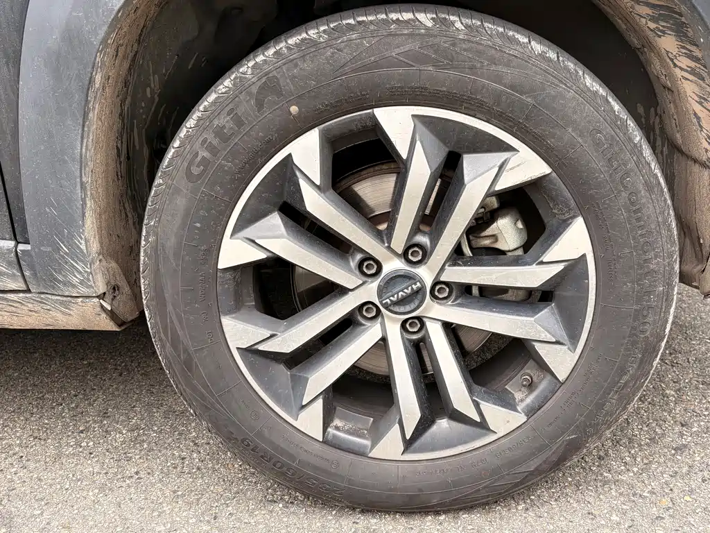 Haval Big Dog — миниатюра 27