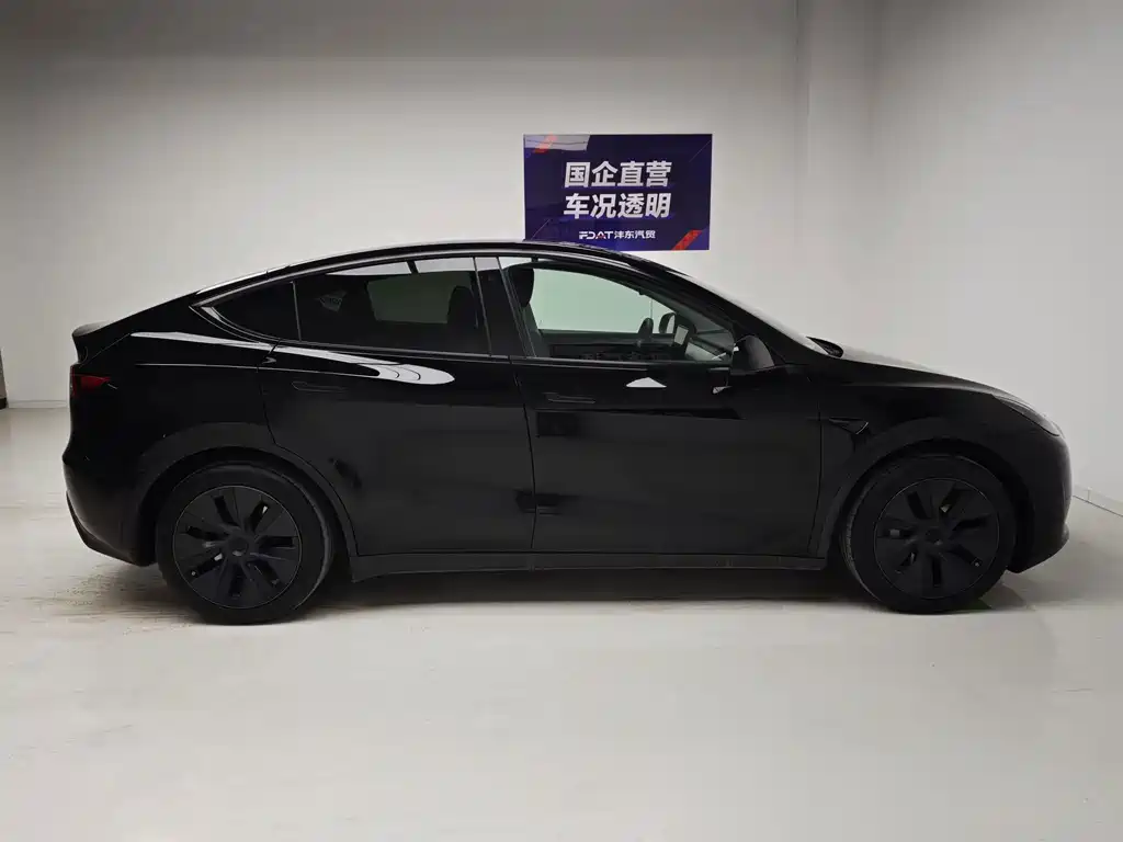 Tesla Model Y — миниатюра 7