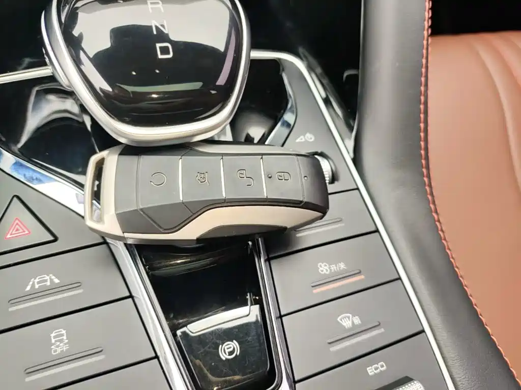 BYD PLUS — миниатюра 9