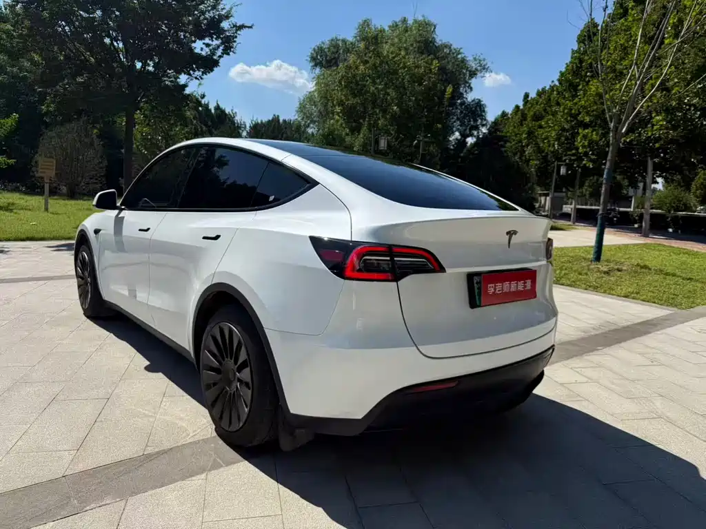 Tesla Model Y — миниатюра 8