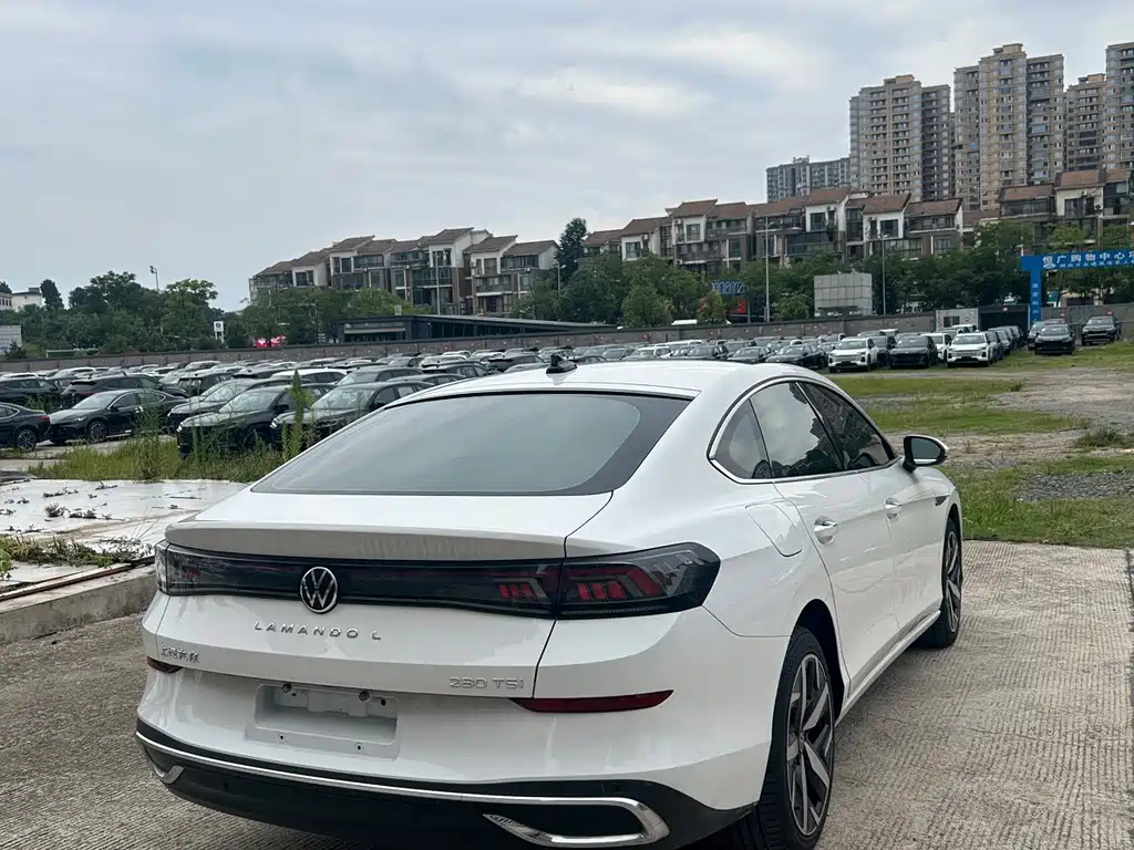 Volkswagen Lamando — миниатюра 9
