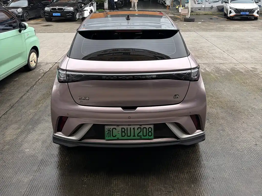 BYD Dolphin - фото 4