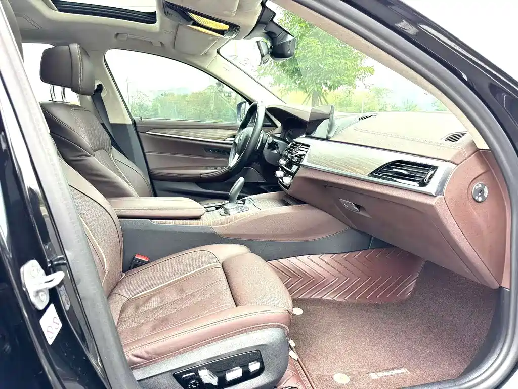BMW 5 Series 5 2020 530Li Premium Luxury