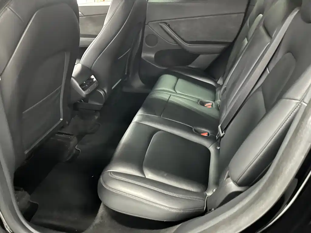 Tesla Model Y — миниатюра 10