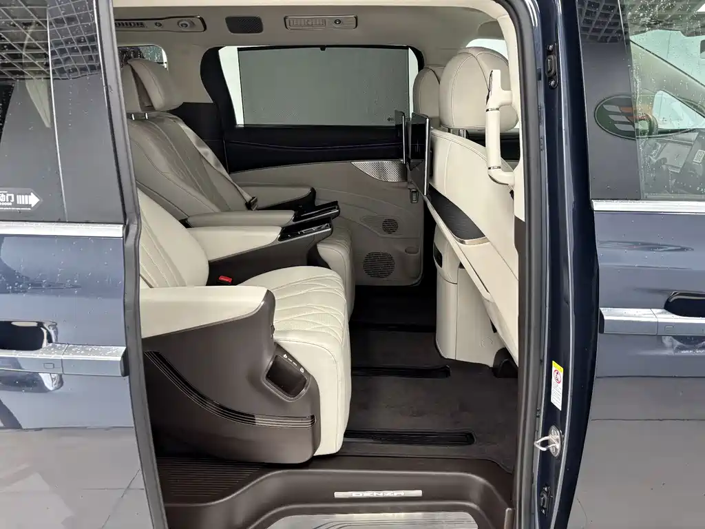 Denza Denza D9 — миниатюра 24