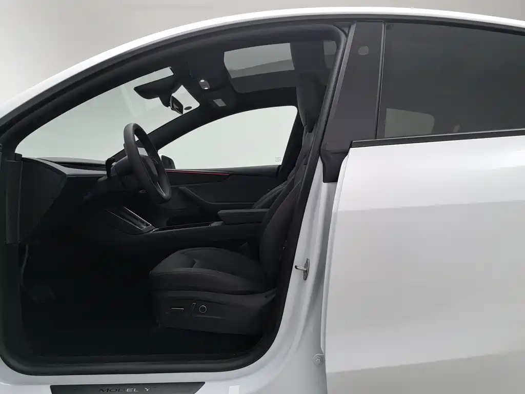Tesla Model Y — миниатюра 10